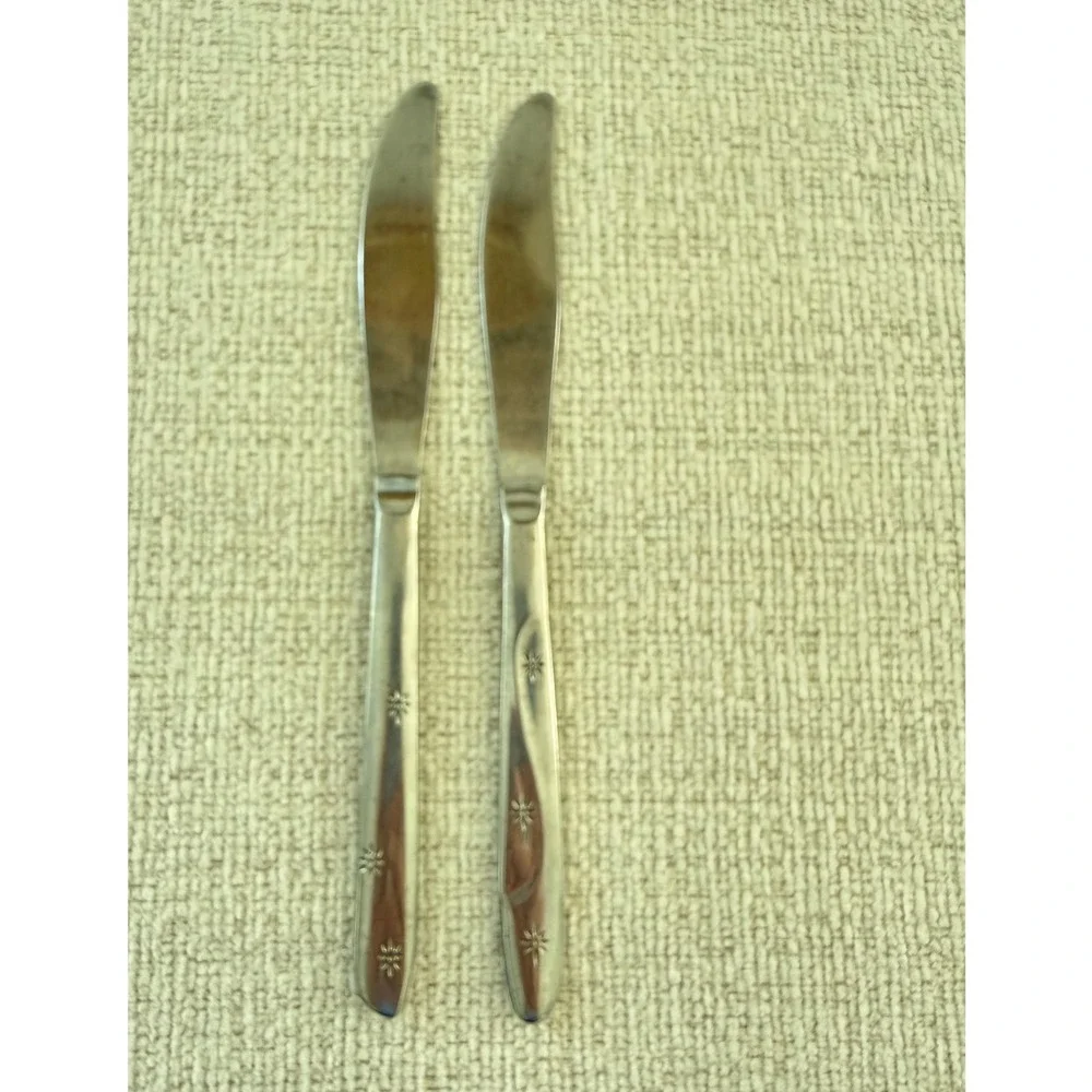 International Stainless Steel AMERICANA STAR Lot of 2 Dinner Knives
